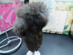 fur coat clone bk6